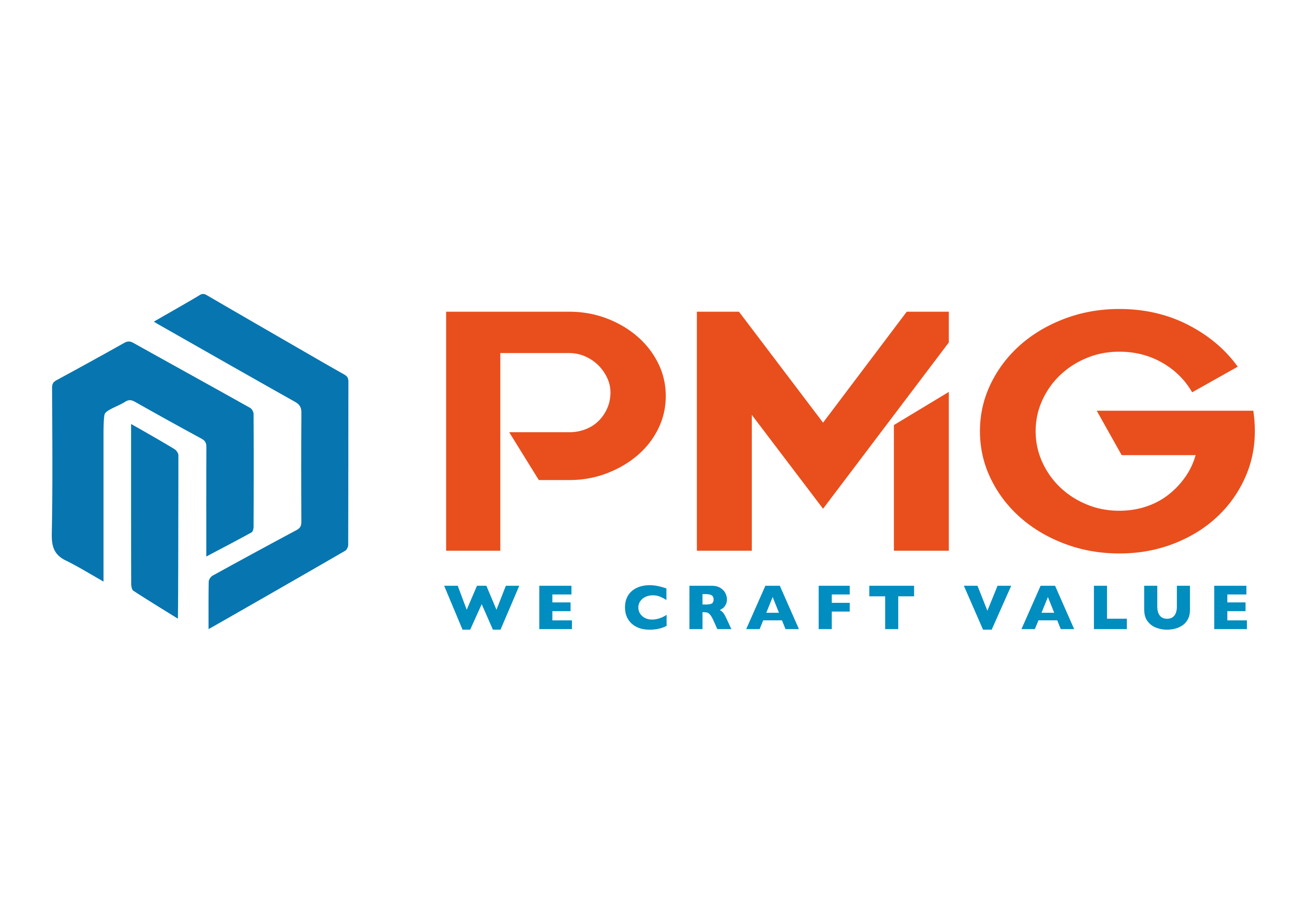 logo PMG footer